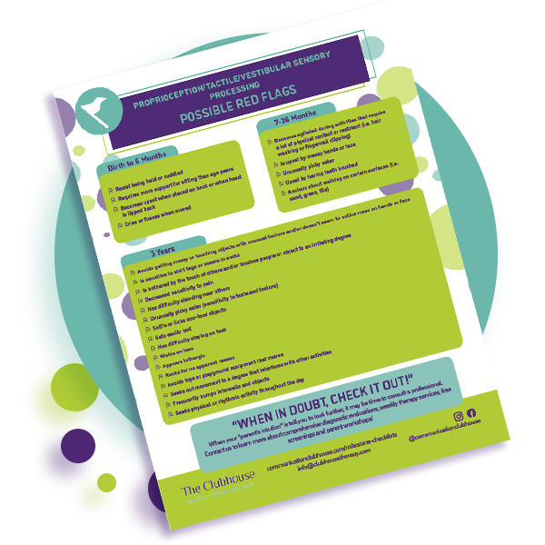 Preview of Tactile Vestibular Red Flags Guide provided by Communication Clubhouse Therapy