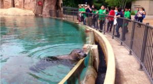 Lincoln Park Zoo